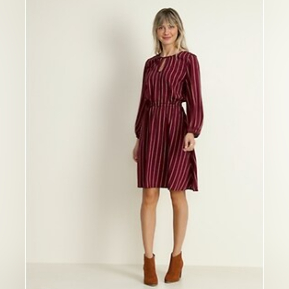 Old Navy Burgundy Striped Dress